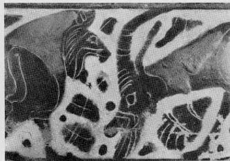AMPHORA, NECK (CORINTHIAN, BLACK-FIGURE)
