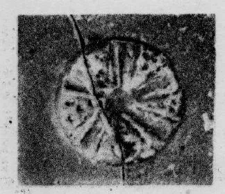 CUP, STEMLESS, FRAGMENT (SOUTH ITALIAN, CAMPANIAN, RELIEF)