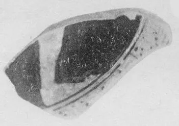 CUP, FRAGMENT (ATHENIAN, RED-FIGURE)