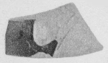 CUP, FRAGMENT (ATHENIAN, RED-FIGURE)