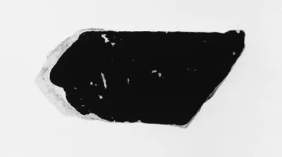 Attic Panathenaic Amphora Fragment