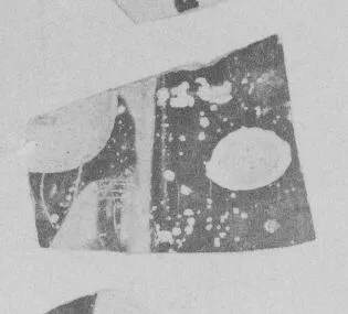 AMPHORA, BELLY, FRAGMENT (ATHENIAN, BLACK-FIGURE)