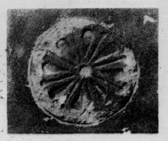 CUP, STEMLESS, FRAGMENT (SOUTH ITALIAN, CAMPANIAN, RELIEF)