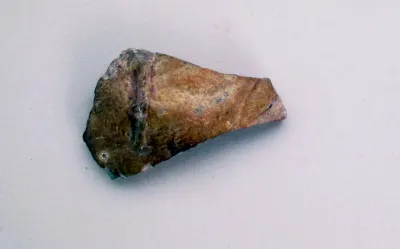 Vase fragment