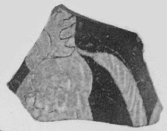 FRAGMENT (ETRUSCAN, RED-FIGURE)