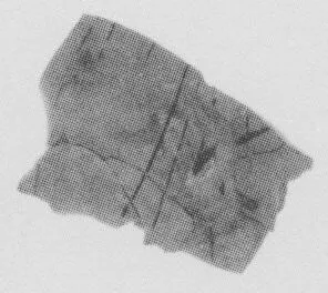 AMPHORA, BELLY, FRAGMENTS (SOUTH ITALIAN, LUCANIAN, RED-FIGURE)
