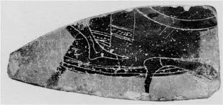 FRAGMENT (ATHENIAN, BLACK-FIGURE)