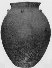 JAR (VILLA NOVA)