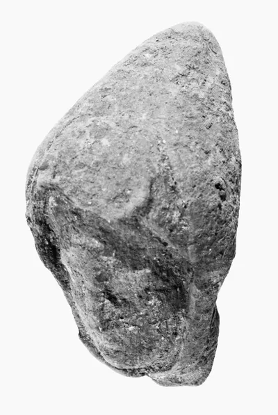 Hooded Female Head