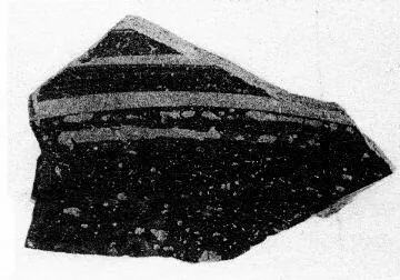 AMPHORA, BELLY, FRAGMENT (ARGIVE)