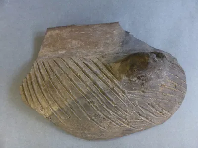 vase ; fragment