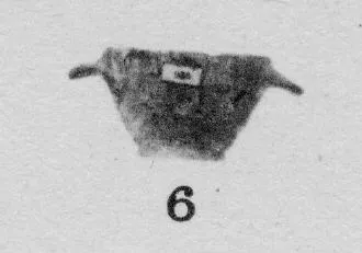 SKYPHOS (CORINTHIAN)