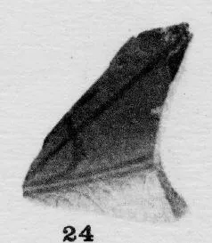 CUP, FRAGMENT (ATHENIAN, BLACK-FIGURE)