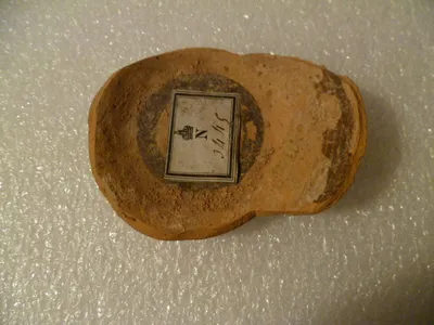 pyxis