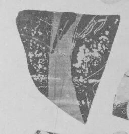AMPHORA, BELLY, FRAGMENT (ATHENIAN, BLACK-FIGURE)