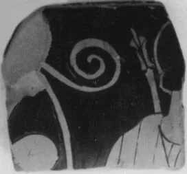 CUP, FRAGMENT (ATHENIAN, RED-FIGURE)