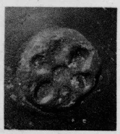 CUP, STEMLESS, FRAGMENT (SOUTH ITALIAN, CAMPANIAN, RELIEF)