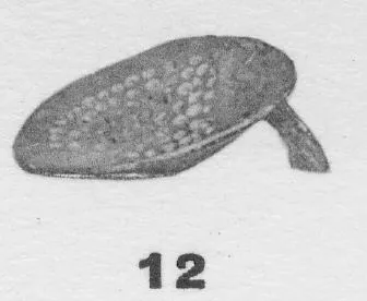 FRAGMENT (ETRUSCAN)