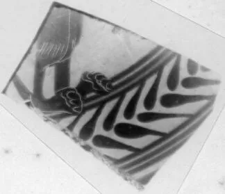 CUP, SIANA, FRAGMENT (ATHENIAN, BLACK-FIGURE)