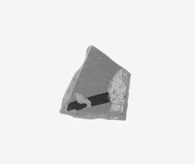 Attic Black-Figure Amphora Fragment