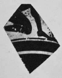 SKYPHOS, FRAGMENT (ATHENIAN, BLACK-FIGURE)