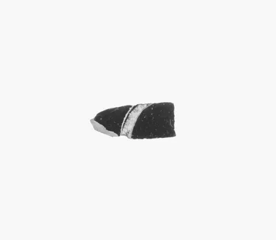 Attic Black-Figure Vase Fragment