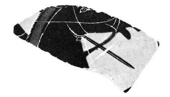 AMPHORA, NECK, FRAGMENT (ATHENIAN, BLACK-FIGURE)