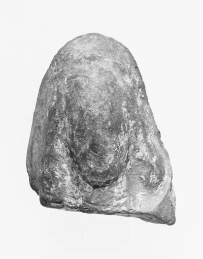 Female Head