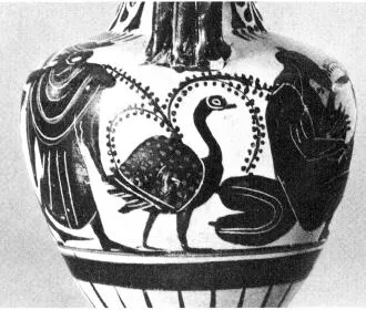 AMPHORA, NECK (ATHENIAN, BLACK-FIGURE)