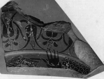 PLATE, FRAGMENTS (ATHENIAN, BLACK-FIGURE)