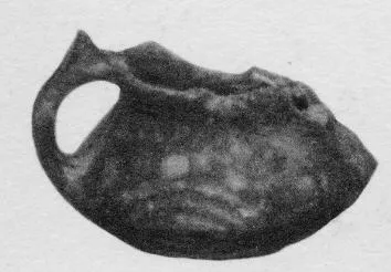CUP (VILLA NOVA)