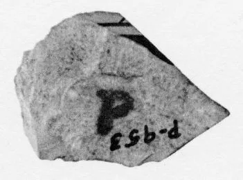 CUP, FRAGMENT (ATHENIAN, RED-FIGURE)