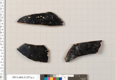 Terracotta fragments of kylikes (drinking cups)