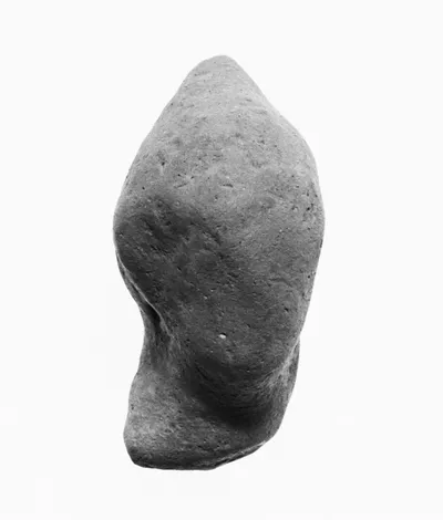Head