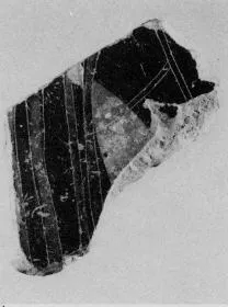 AMPHORA, BELLY, TYPE B, FRAGMENT (ATHENIAN, BLACK-FIGURE)
