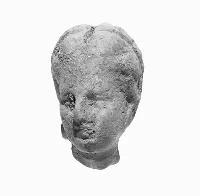 Female Head