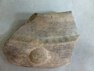 vase ; fragment