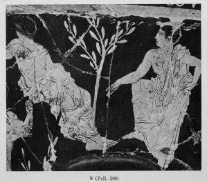 KRATER, CALYX (ATHENIAN, RED-FIGURE)