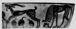 AMPHORA, NECK (PONTIC, BLACK-FIGURE)