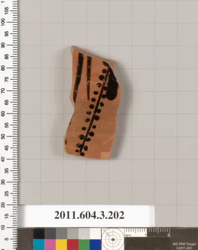 Terracotta fragment of a neck-amphora (jar)