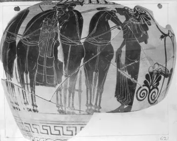 AMPHORA, NECK, FRAGMENTS (ATHENIAN, BLACK-FIGURE)