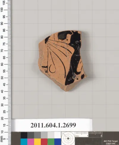 Terracotta fragment of a kylix (drinking cup)