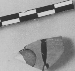 CUP, FRAGMENT (ATHENIAN, BLACK-FIGURE)