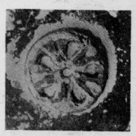 CUP, STEMLESS, FRAGMENT (SOUTH ITALIAN, CAMPANIAN, RELIEF)