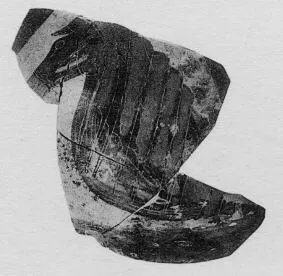 AMPHORA, BELLY, TYPE B, FRAGMENT (ATHENIAN, BLACK-FIGURE)