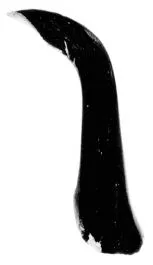 CUP, SIANA, FRAGMENT (ATHENIAN, BLACK-FIGURE)