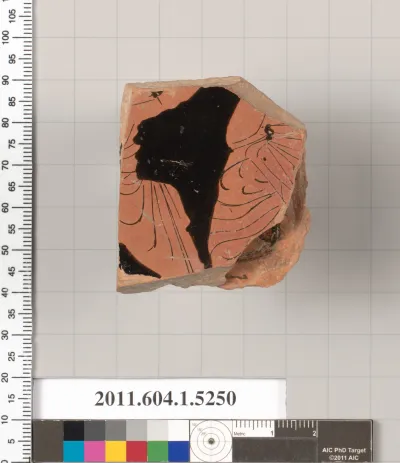 Terracotta fragment of a kylix (drinking cup)