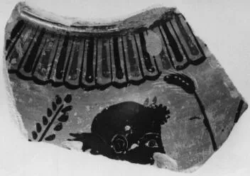 AMPHORA, NECK, FRAGMENT (ATHENIAN, BLACK-FIGURE)