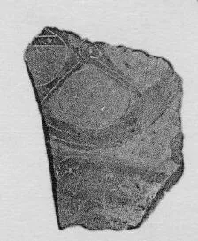 FRAGMENT (ATHENIAN, BLACK-FIGURE)
