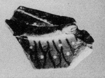 AMPHORA, BELLY, FRAGMENT (EAST GREEK, CLAZOMENIAN)